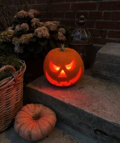 App Styret Lyskæde 5 m. Batteriboks halloween